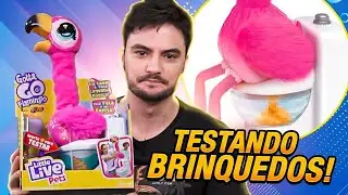 ACHEI O MELHOR BRINQUEDO DO ANO? TALVEZ...