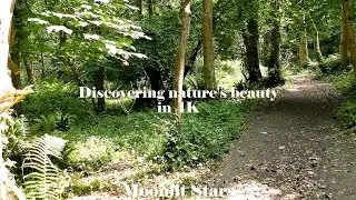 Discovering nature's beauty in 4K