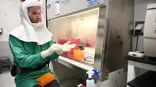 Training infectious disease research leaders