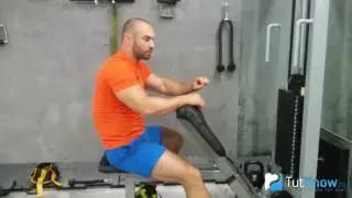 Бицепс на скамье Скотта - техника выполнения упражнения