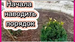 Первая клумба готова🍀🌺