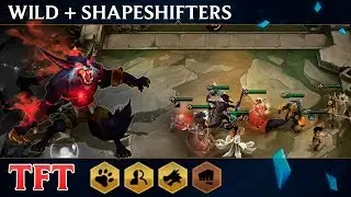 [TFT] Гайд по Одичалым и Перевертышам (Wild + Shapeshifters)
