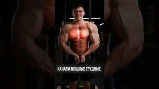 Качаем мощные грудные жимом на наклонной скамье