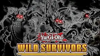 Yu Gi Oh! - Deck Build Pack: Wild Survivors I 45 Cards [OCG List]