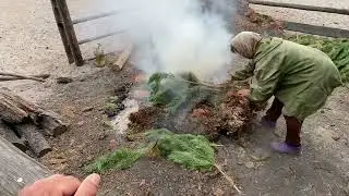 Как делают дымокур для Оленей