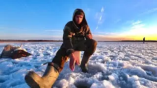 Ловля ПЛОТВЫ. Крайняя вечерняя  рыбалка по твёрдой воде. Рыбалка на Ладожском озере.