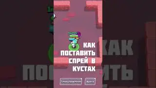 Как Поставить СПРЕЙ В КУСТАХ #бравлстарс #фактыбравлстарс