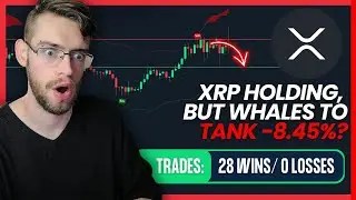 XRP Holds After SEC Ruling!! But Whales To CRASH -8.45%? | Ripple Price Prediction