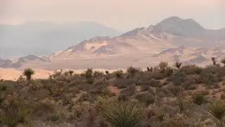 4k desert travel video background