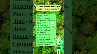 Какое дерево подходит твоему знаку  