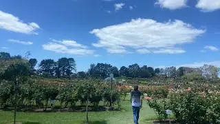 An Adventure Today
