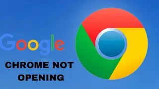 How to fix Google Chrome not Opening on Windows PC (2024)