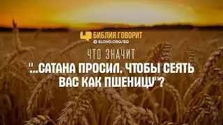 Что значит «сатана просил, чтобы сеять вас как пшеницу»? | 