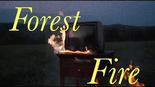forest fire (Lyric Video) - Indie Christian Folk