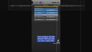 How do I split a stereo track into mono tracks in Logic Pro? #musicproduction #logicpro #logicx