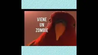 loro rojo meme