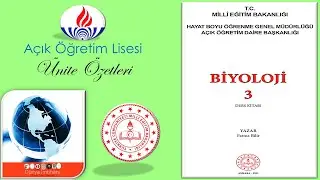 AÖL / AÇIK ÖĞRETİM LİSESİ / BİYOLOJİ 3 / ÜNİTE ÖZETLERİ