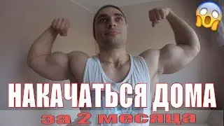 КАК НАКАЧАТЬСЯ В ДОМАШНИХ УСЛОВИЯХ ЗА 2 МЕСЯЦА? Как Накачаться дома худому! Программа тренировок
