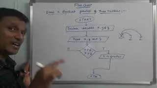 Draw a Flow Chart To Find the Largest of Three Numbers | Flow Chart | C Programming