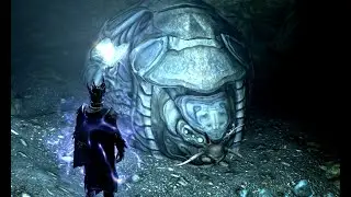 Жук-панцирник и шлем из его хитина, Skyrim
