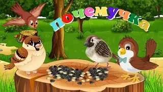 0+ Воробьи. Интересные факты. Почемучка. Детская энциклопедия.