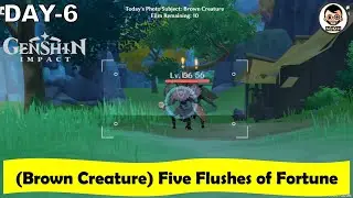 (Day 6 - Brown Creature) Here is how to Complete Five Flushes of Fortune | Kurious Kamera