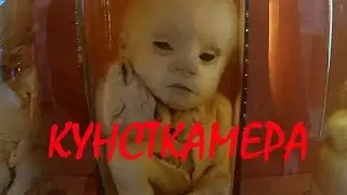 Ужасы кунсткамеры / Спб