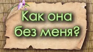 Как она без меня? Таро для мужчин. Таро расклад