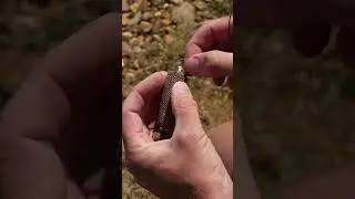 PVA HACK 😱