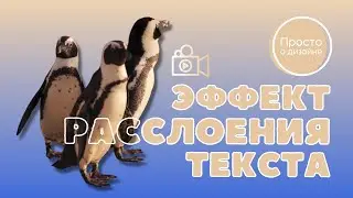 Эффект расслоения текста | Трендовые видеоэффекты в Canva (эпизод 2)