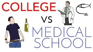 Medical School vs College Comparison