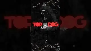 #topdog