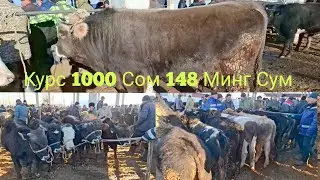 Ош Учкун мол бозори Букалар нархлари 29 декабрь 2 чи видео