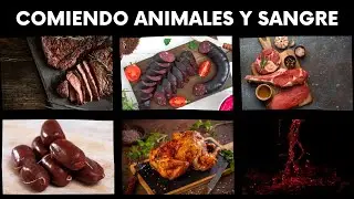 Comiendo Animales y Sangre - Juan Manuel Vaz