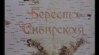 Береста сибирская