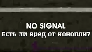 Минусы от употребления конопли / Mr.GrowChannel