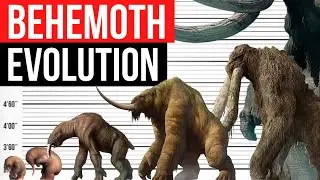 Evolution Of Titanus Behemoth | Life Cycle