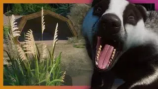 BADGER BADGER BADGER BADGER | Planet Zoo