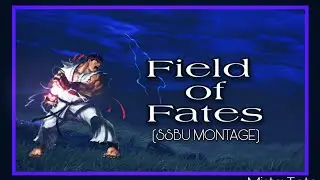 "Field of Fates" a RYU (ssbu) Montage