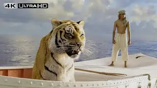 Life Of Pi 4K HDR | Flying Fish