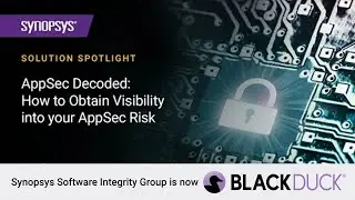 AppSec Decoded: How to obtain visibility into your AppSec risk | Black Duck