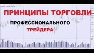Концепция Торговли на Бирже Профессиональных Трейдеров(форекс,обучение трейдингу,vsa).