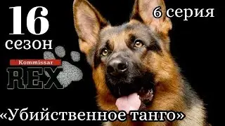Комиссар Рекс, 16 сезон, 6 серия «Убийственное танго»