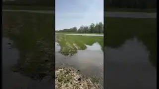 Уровень воды в Чагане стремительно поднимается.
