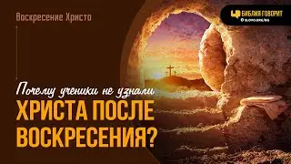 Почему ученики не узнали Христа после Воскресения?  | Библия говорит | 2014