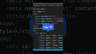 Using Radio Button !! Html!! Css