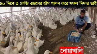 ৪০ দিনে ৩ কেজি ওজনের ফান্সের পিকিং হাঁস পালন করে নোয়াখালির দিদার ভাই মাসে আয় লাখ টাকা