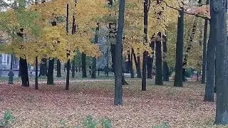 Лопухинский сад, Санкт-Петербург