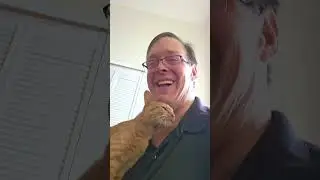 It's so adorable when my cat does this