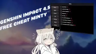 Genshin Impact cheat minty 4.5